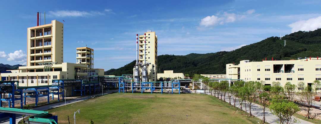 image5.jpg