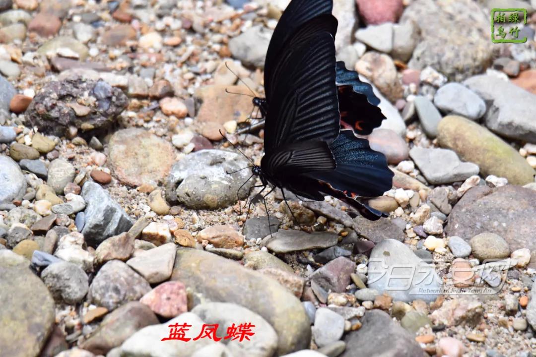 微信图片_20200805104705.jpg