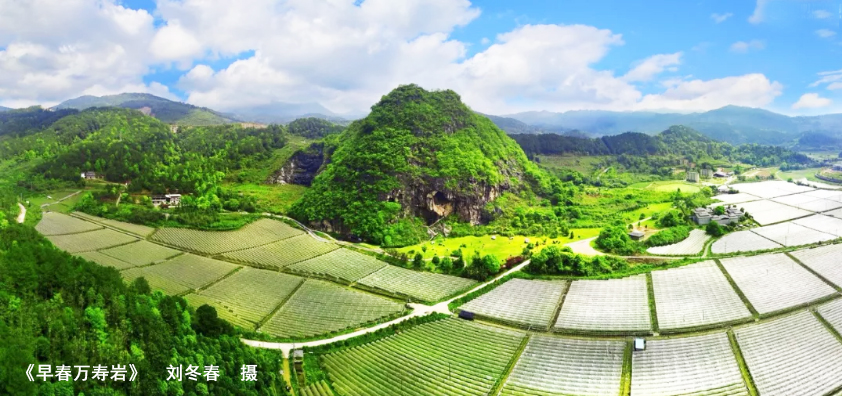 《早春万寿岩》‘.jpg