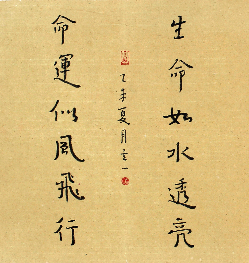 82林晓晶.jpg