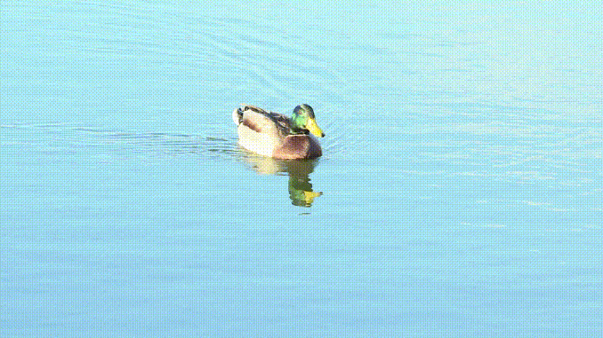 微信图片_20201210231842.gif