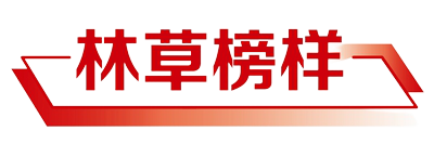 中国绿色时报 三明实践 的林业样本