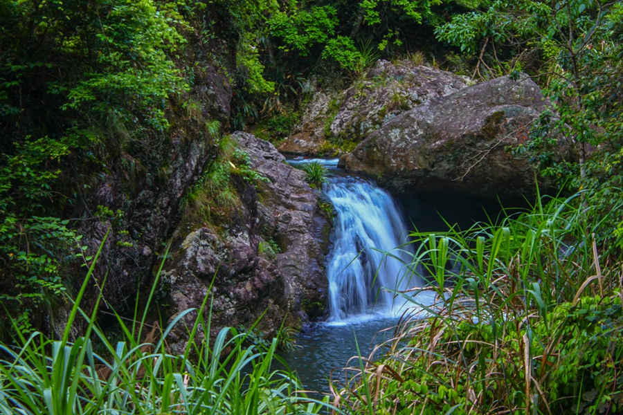 陈根强.jpg