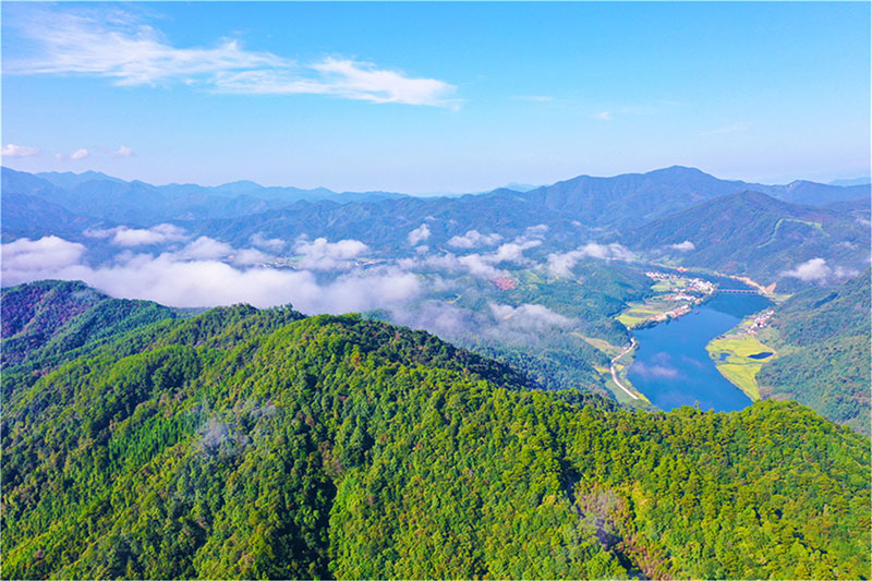 image2.jpg