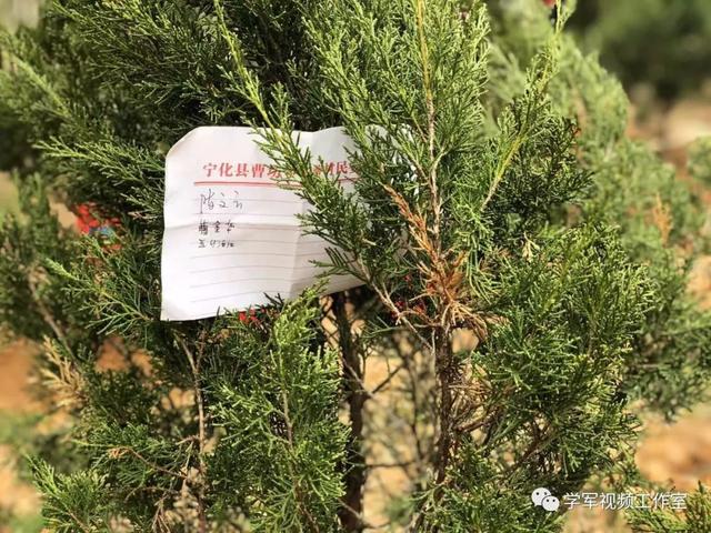 红三十四师的第一本“家谱”来了,龙岩人和三明人做了件“硬核”大事