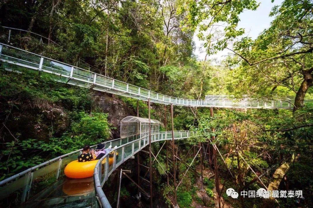 中国绿都 最氧三明 | 供需两旺，国庆前四日三明重点景区游客同比恢复近九成