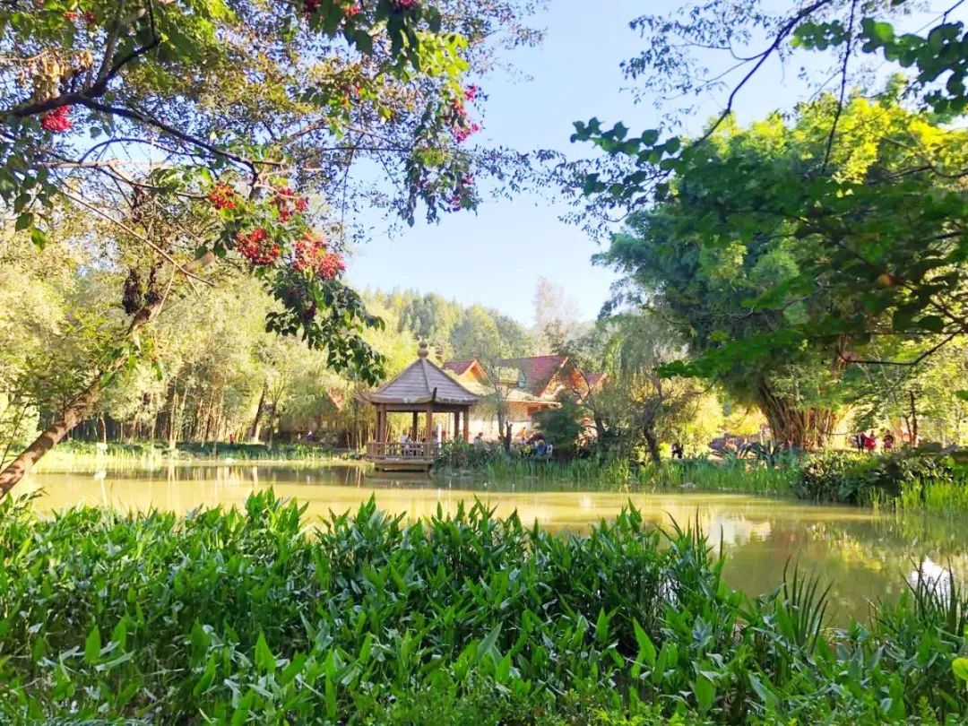微信图片_20201109154647.jpg