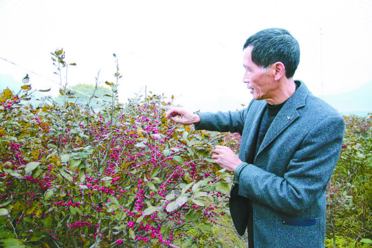 微信图片_20201221105641.png