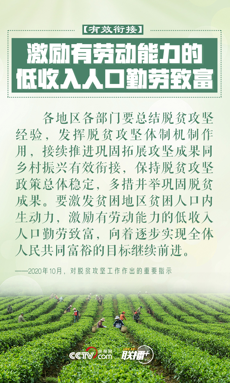 联播+|做好乡村振兴大文章 习近平反复强调这四个字