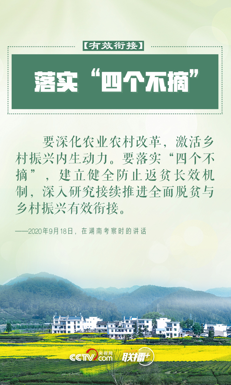 联播+|做好乡村振兴大文章 习近平反复强调这四个字