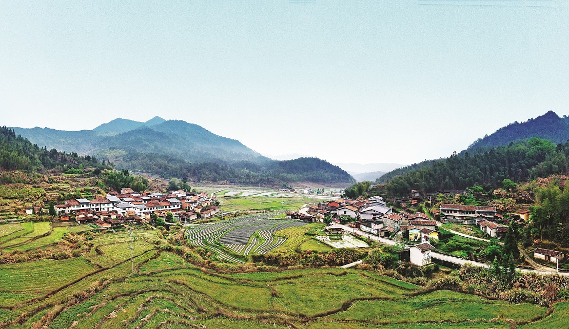 image (1).jpg