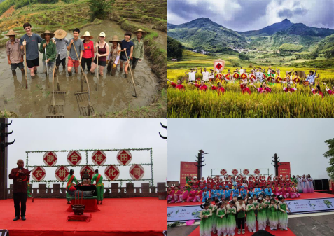 图片 12.png