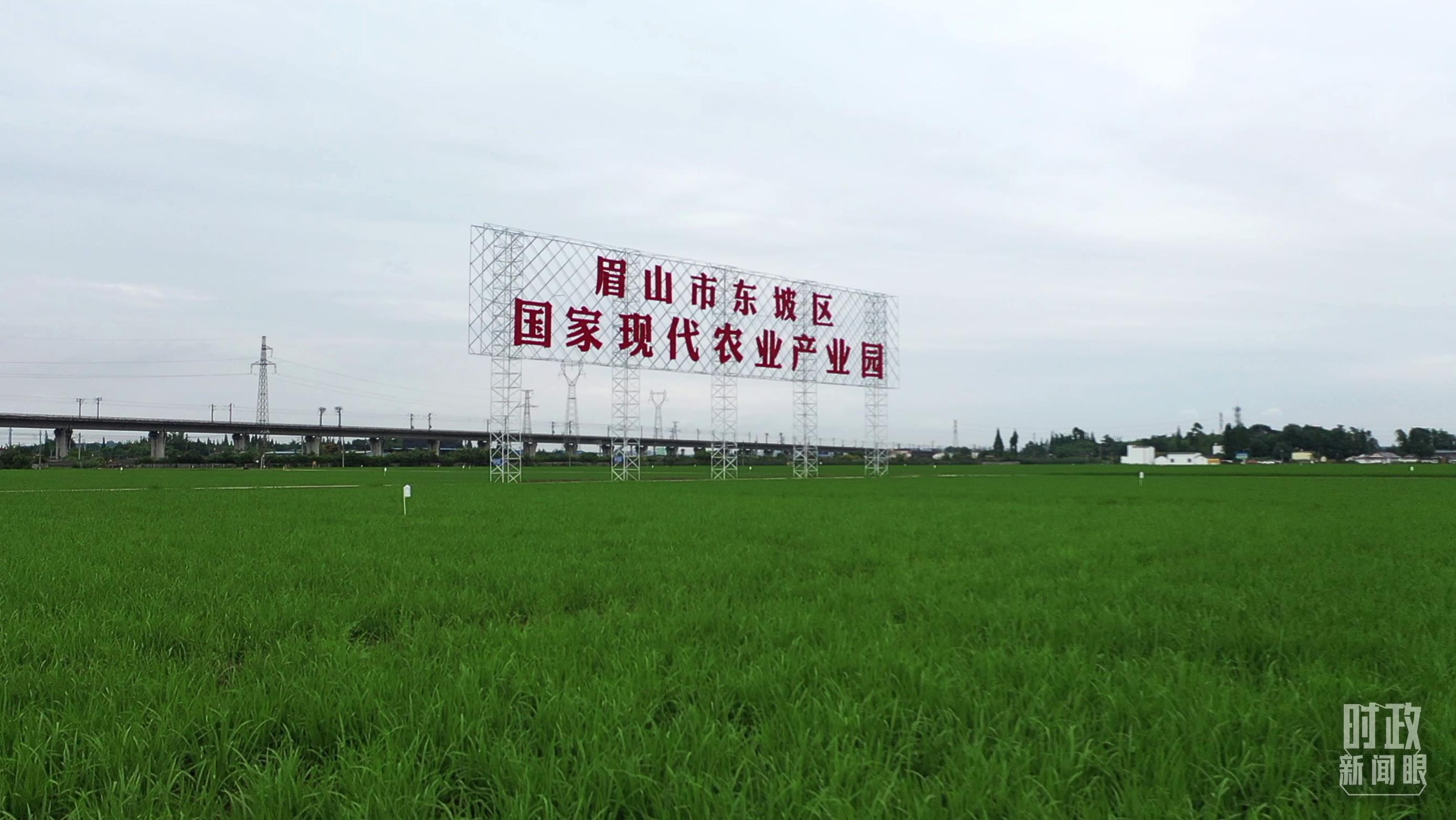 时政新闻眼丨习近平再赴四川考察,在眉山重点关注了什么?