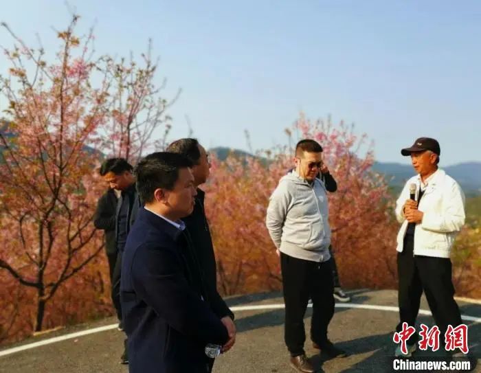图为简文通(右一)给游客介绍樱花园。 雷朝良 摄 图片