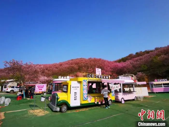 如今,樱花园的配套设施日益完善。 雷朝良 摄 图片