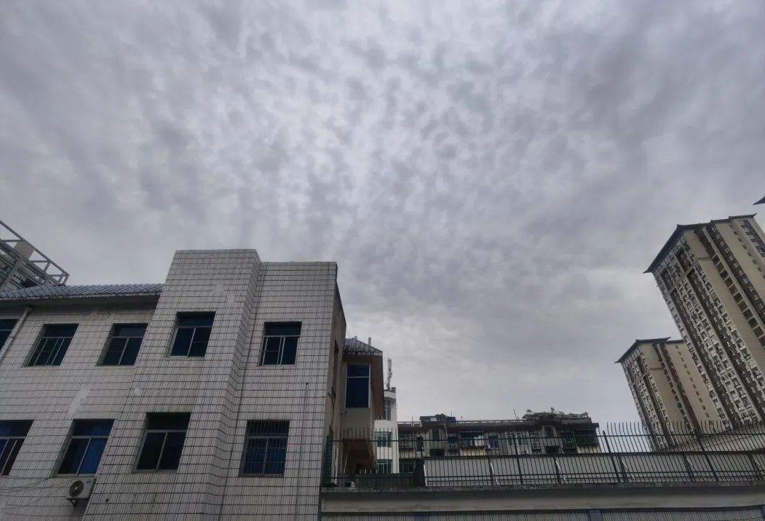 微信图片编辑_20250405192006.jpg