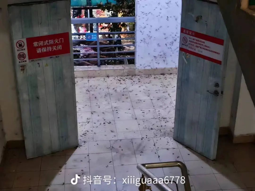 微信图片_20250519181516.jpg